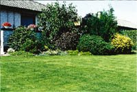 Bästa tiden för grässkötsel! - Vi i Villa