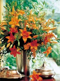 Liljor till vardag och fest - Vi i Villa