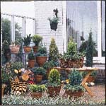 Läckra höstplanteringar i utekruka och korg - Vi i Villa