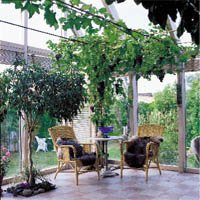 Vi byggde en vinterträdgård - Vi i Villa