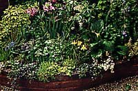 Ge trädgården sköna former - Vi i Villa