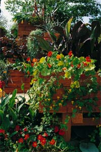 Trädgård på höjd - Vi i Villa