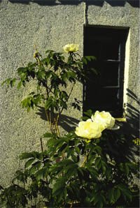 Gamla godingar i ny tappning - Vi i Villa