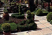 Ge trädgården sköna former - Vi i Villa