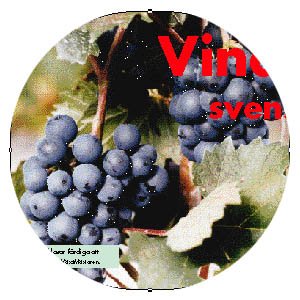 Vindruvorna som klarar det svenska klimatet - Vi i Villa