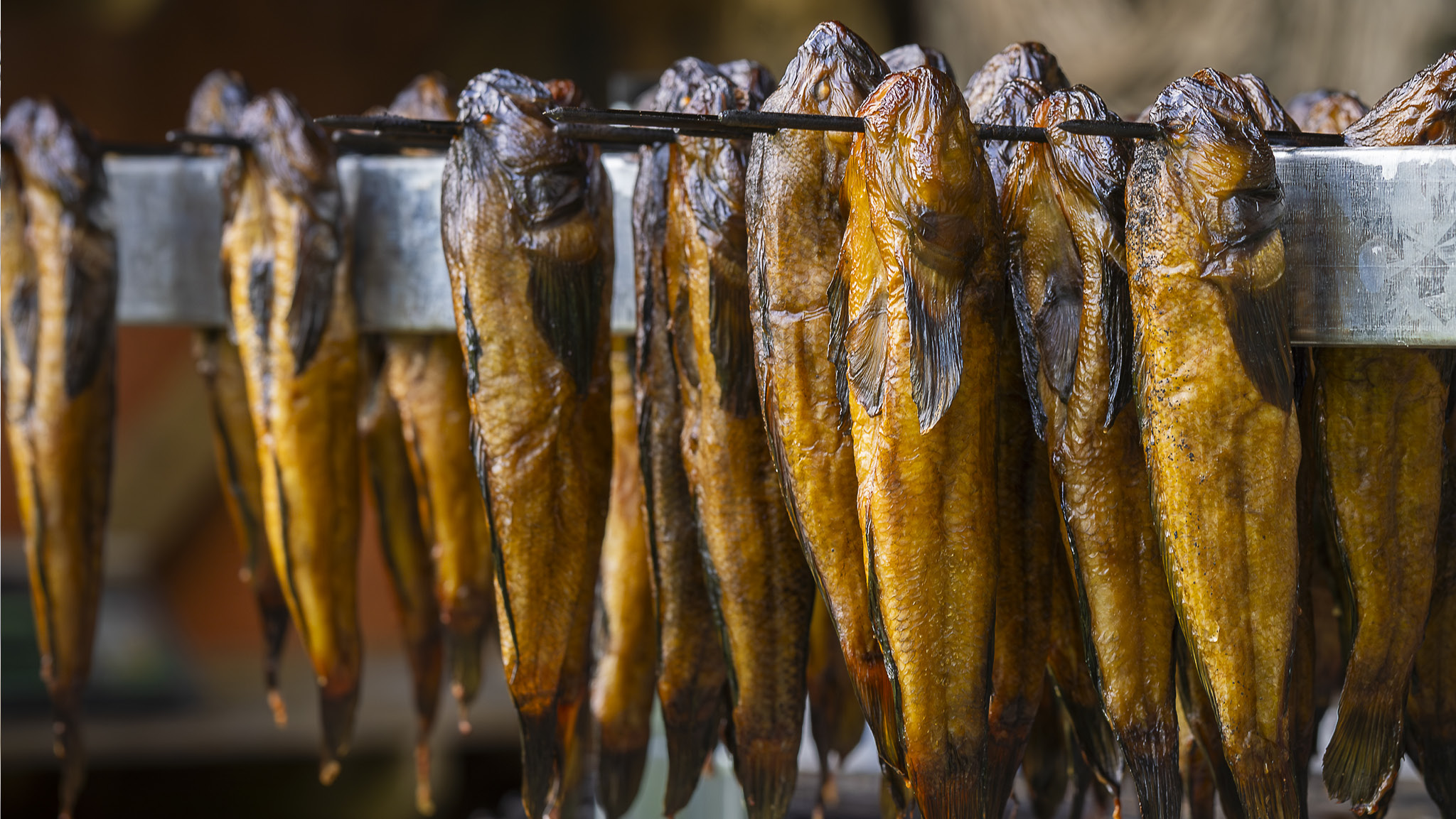 Bygg din egen fiskrök