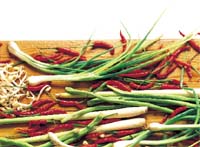 Fröså orientaliska grönsaker och kryddor - Vi i Villa