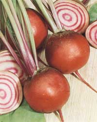 Årets frönyheter 2002 - Vi i Villa