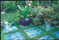 Den mobila trädgården - Vi i Villa