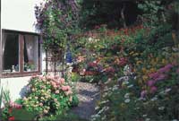 Alltid läge för perenner - Vi i Villa