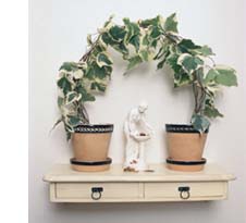 Grön höst med klängväxter - Vi i Villa