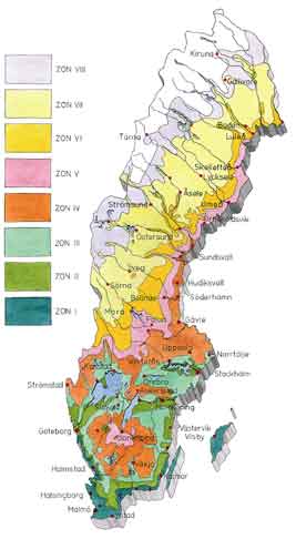Älskade rosor! - Vi i Villa