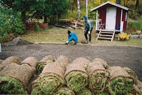 Rulla ut det gröna gräset - Vi i Villa