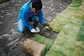 Rulla ut det gröna gräset - Vi i Villa