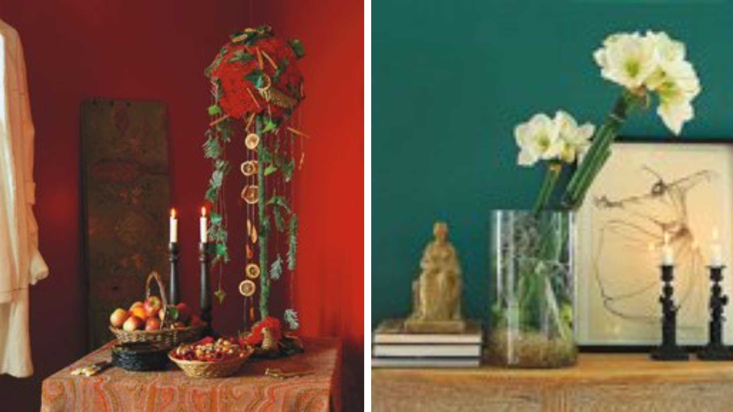 Det är inte långt kvar till jul och dags att fundera över vackra  julprydnader. För många av oss är det tradition att driva upp en  amaryllis eller två och kanske skaffa några hyacinter. Det blir ofta  väldigt vackert. Men det går att göra så mycket mer och annorlunda.