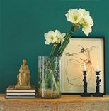 Blommande jul - Vi i Villa