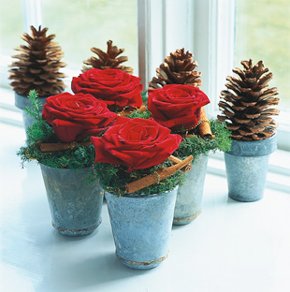 Blommande jul - Vi i Villa