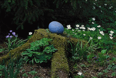 Vill du se fler bilder på vårens vilda féer? Här finns bilderna ur  artikeln Välkomna vårens vilda féer! av Lisa Winnerlid som inte  publicerades i tidningen.