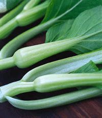 Odla asiatiskt - Vi i Villa