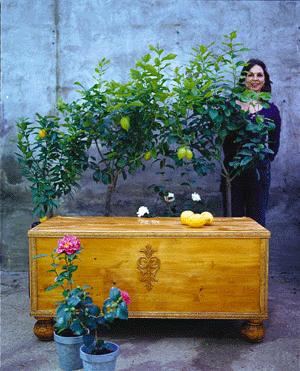 Vattentät låda för dynor - Vi i Villa