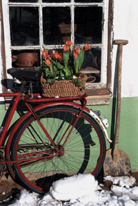 Våryra! - Vi i Villa