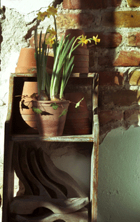 Våryra! - Vi i Villa