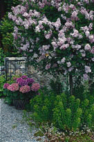 Förverkliga dina trädgårdsdrömmar - Vi i Villa