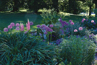 Förverkliga dina trädgårdsdrömmar - Vi i Villa