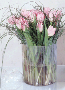 Rädda tulpanerna undan Bambi - Vi i Villa