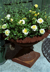 Flyttbar fägring! - Vi i Villa