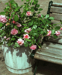 Flyttbar fägring! - Vi i Villa