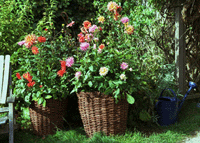 Flyttbar fägring! - Vi i Villa