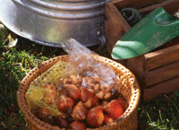 Just nu i trädgården – september - Vi i Villa