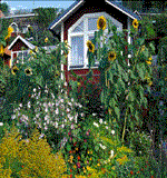 Trädgårdar i Stockholm - Vi i Villa