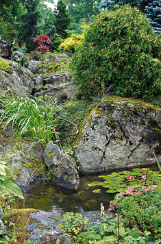 Trädgårdar i Stockholm - Vi i Villa