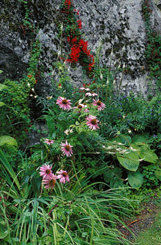 Trädgårdar i Stockholm - Vi i Villa