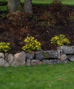 Slänten – bästa stället i trädgården - Vi i Villa