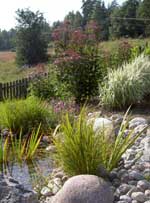 Slänten – bästa stället i trädgården - Vi i Villa