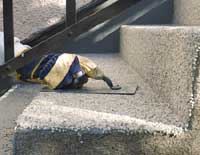 Fräscha upp trappan - Vi i Villa