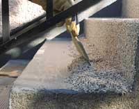 Fräscha upp trappan - Vi i Villa