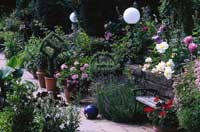 Få en gränslös trädgård - Vi i Villa