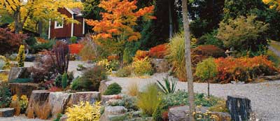 Oavsett om du älskar din trädgård eller tycker att den är ett nödvändigt ont är det här du ska börja! Nedan finner du ett urval av artiklar och gör-det-självtips om trädgård.