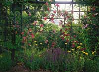 Paradis på liten trädgårdsyta - Vi i Villa