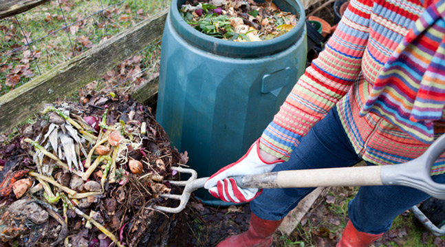 Den som en gång börjat kompostera har svårt att sluta. Komposten sköter sig själv, trädgården prunkar och du halverar mängden sopor – allt hushållsavfall kan komposteras!