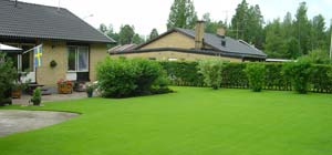 Trädgårdslandet - Vi i Villa