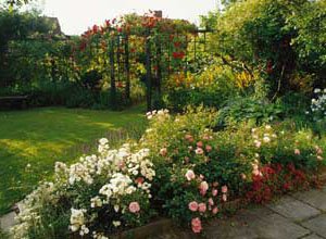 Paradis på liten trädgårdsyta - Vi i Villa