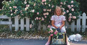 Trädgårdslandet - Vi i Villa