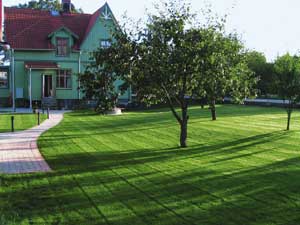 Sveriges snyggaste gräsmatta - Vi i Villa