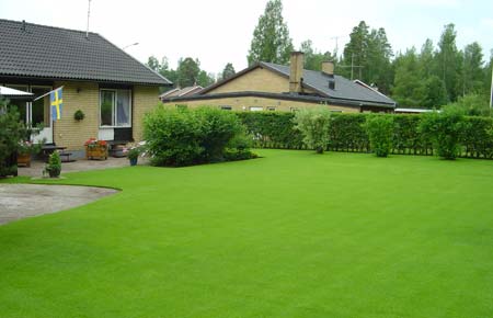 Ser din gräsmatta lite trött och hängig ut? Breder de kala fläckarna ut sig? Är det mer mossa än gräs? Lugn, du behöver troligen inte anlägga en helt ny gräsmatta. Med dessa tips kan även den mest hopplösa gräsmatta få ett nytt liv.