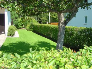 Grannens gröna gräs - Vi i Villa